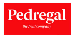 LogoPedregal
